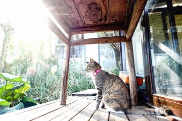 DSC00387-编辑