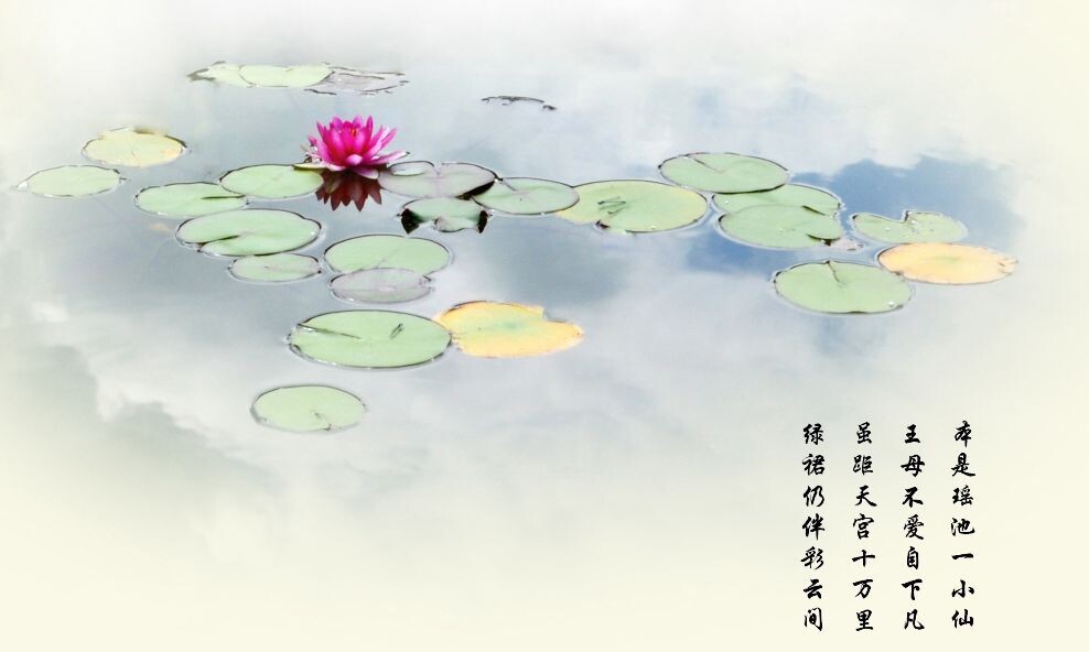这是首次尝试画配诗，欢迎拍砖