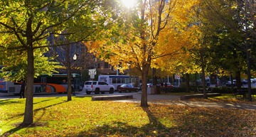 11670461-CEC6-4AAA-BBD6-6CAA37179859/L0/001