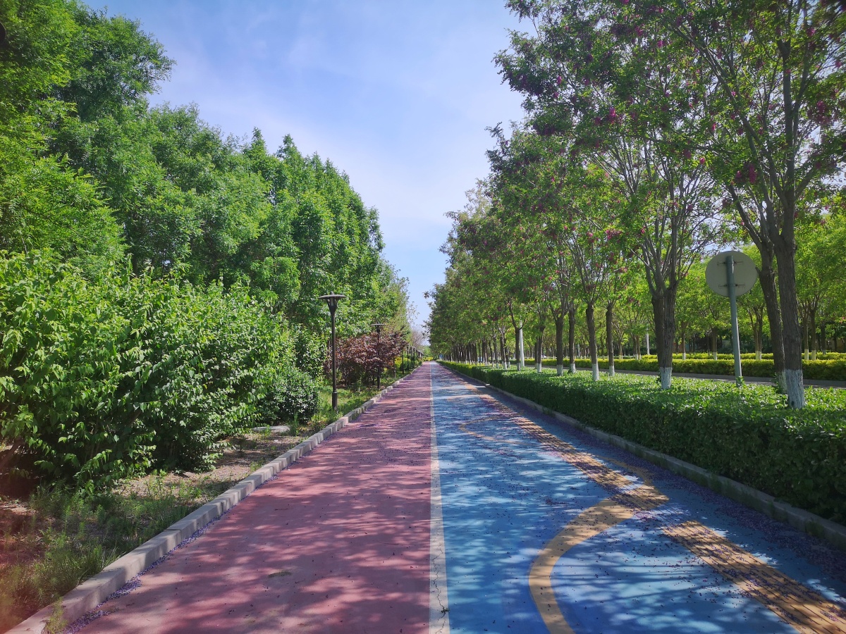 亿利生态岛! - 小草768 - 图虫