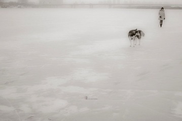 DSC_0018.jpg
