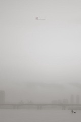 DSC_0013.jpg