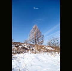 nEO_IMG_DSC_0228.jpg