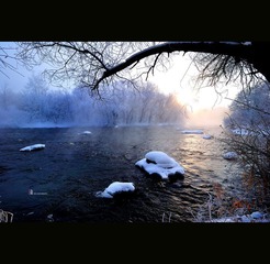 nEO_IMG_DSC_0592.jpg