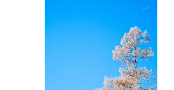 nEO_IMG_CSC_0343.jpg