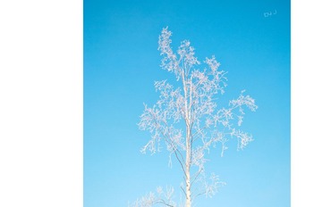 nEO_IMG_DSC_0032.jpg