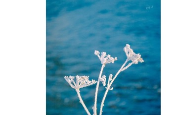 nEO_IMG_DSC_0056.jpg