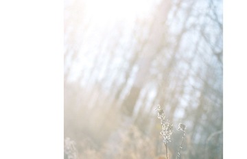 nEO_IMG_DSC_0085.jpg