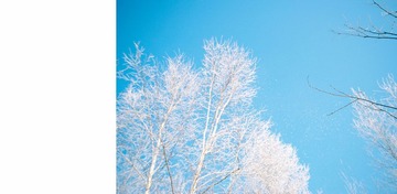 nEO_IMG_DSC_0151.jpg