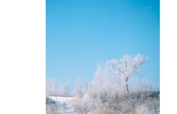 nEO_IMG_DSC_0158.jpg