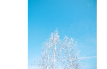 nEO_IMG_DSC_0168.jpg