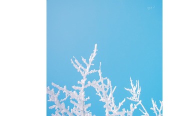 nEO_IMG_DSC_0172.jpg