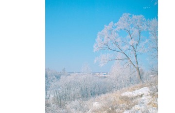 nEO_IMG_DSC_0215.jpg