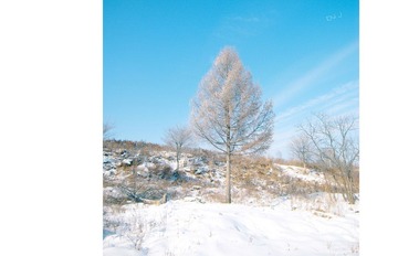 nEO_IMG_DSC_0228.jpg