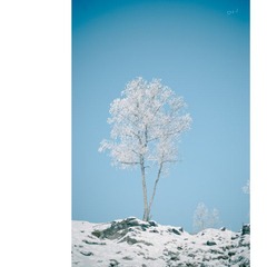 nEO_IMG_DSC_0300.jpg
