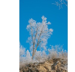 nEO_IMG_DSC_0339.jpg