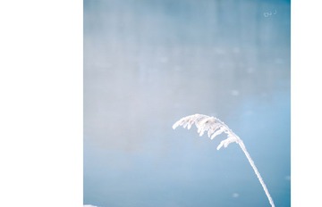 nEO_IMG_DSC_0340.jpg