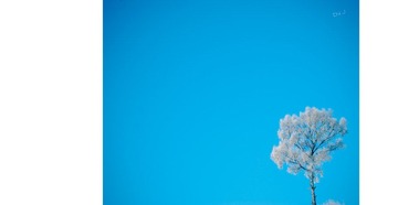 nEO_IMG_DSC_0348.jpg