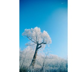 nEO_IMG_DSC_0660.jpg