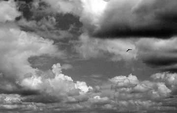 DSC01939_