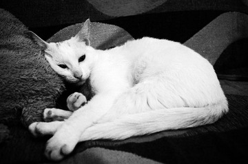 DSC03511_