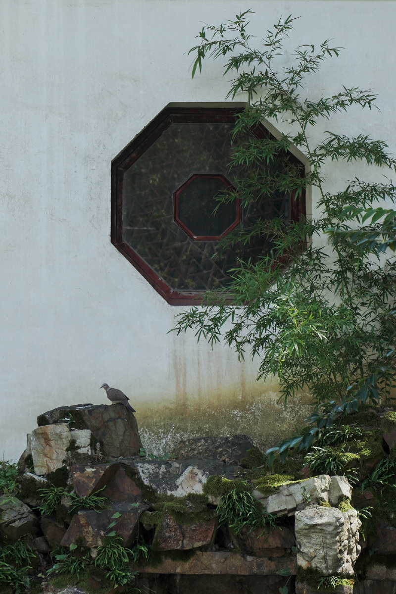 苏州园林的花窗九则苏州园林的花窗一年四季窗外都是别有洞天美不胜收