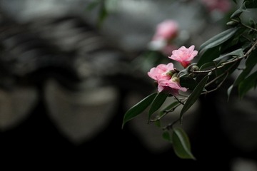 7DE7C062-5736-479B-A470-6F786C3AD69A/L0/001