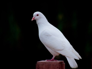 PB050037-2
