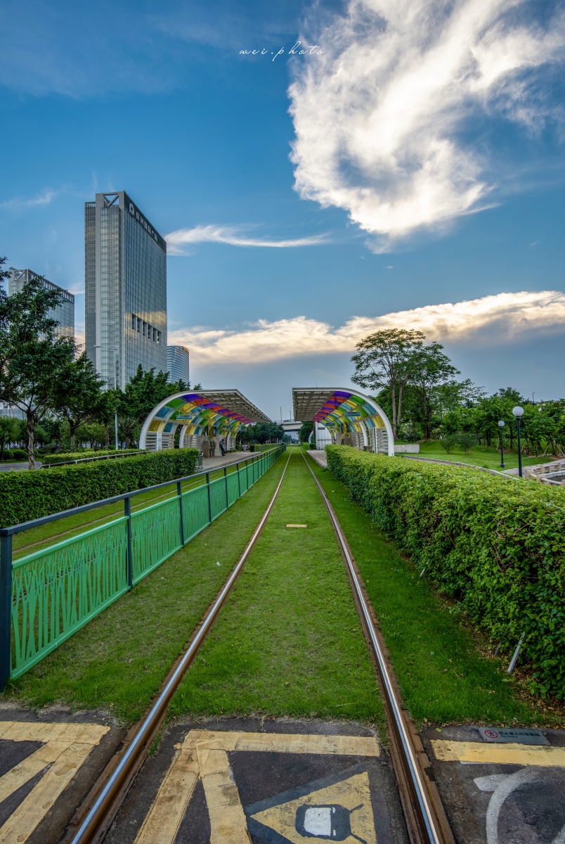 双11临近 玻尿酸火了 炒不炒？