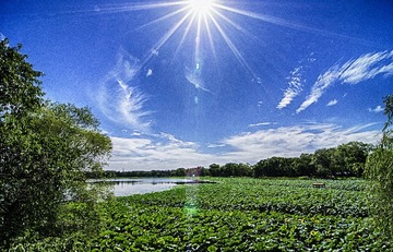 _DSC5076