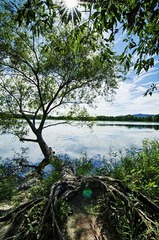 _DSC5096