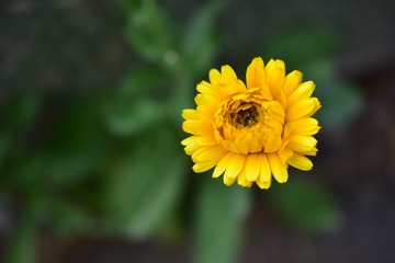 855811