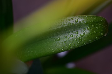 1207998