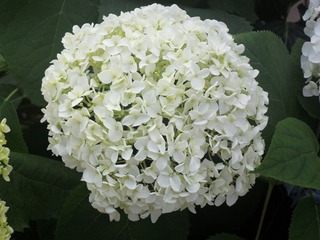 EB5B3A3B-833C-43BC-AF7D-A551D42C501D/L0/001