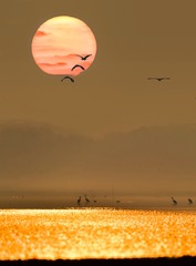 001