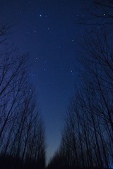 IMG_7477-2