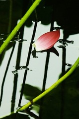 DSCF8406-1