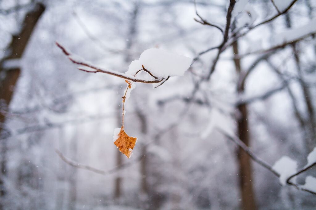 纽约长岛大雪<br />
（其实还有好多片）