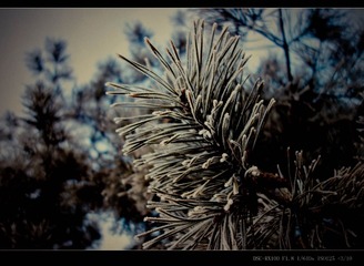 DSC00220_