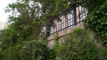 P1000218