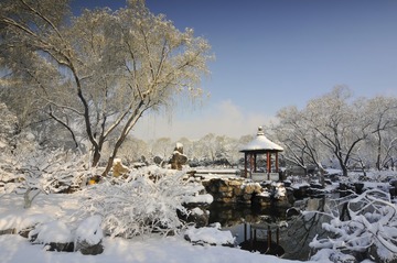 _LJS1678a