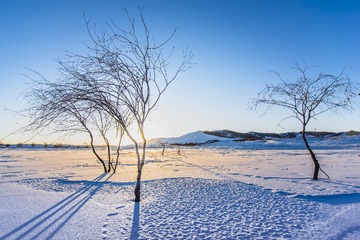 _DSC3363
