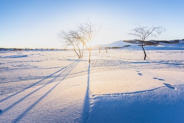 _DSC3362