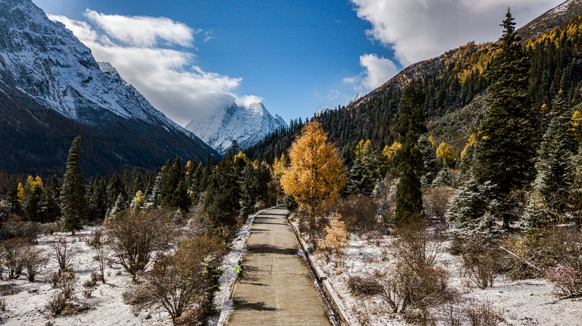 红杉林(四姑娘山)