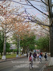 B23C4E80-2CF7-4CBF-BE0B-18AB10825E91/L0/001