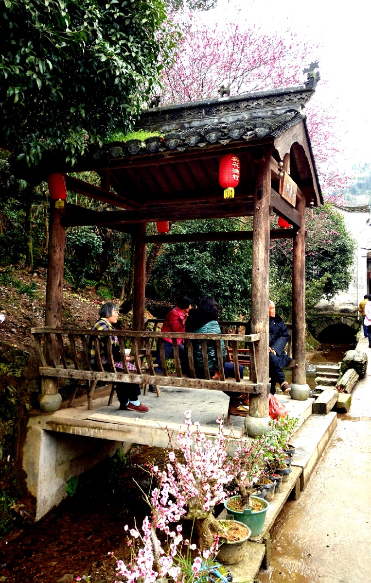 黄山卖花渔村手机拍