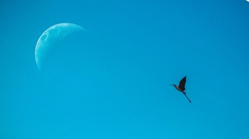 001