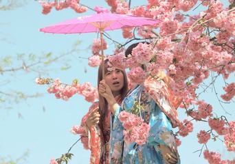 在花开的季节