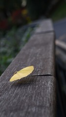 0D38FA25-08C7-403C-8EC0-85A0EA2BD68A/L0/001