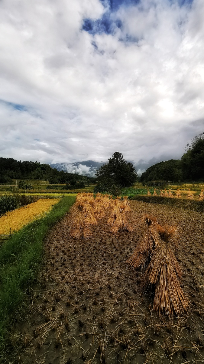 云南省腾冲市界头镇